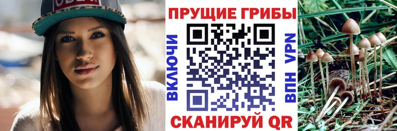 магазин продажи наркотиков  Анжеро-Судженск  даркнет как зайти  Галлюциногенные грибы прущие грибы 
